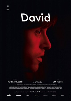 David - 2015