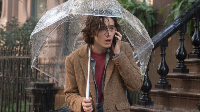 Timothée Chalamet ve filmu Deštivý den v New Yorku / A Rainy Day in New York