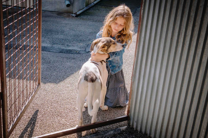 Fotografie z filmu  / Gump - pes, který naučil lidi žít