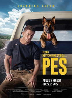 Český plakát filmu Pes / Dog