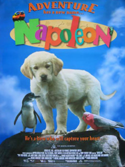 Plakát filmu Napoleon / Napoleon