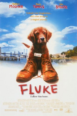 Plakát filmu Psí život / Fluke