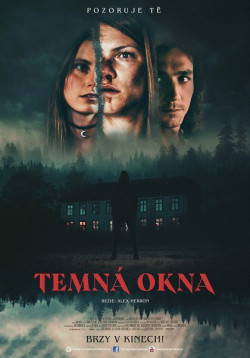 Český plakát filmu Temná okna / Dark Windows